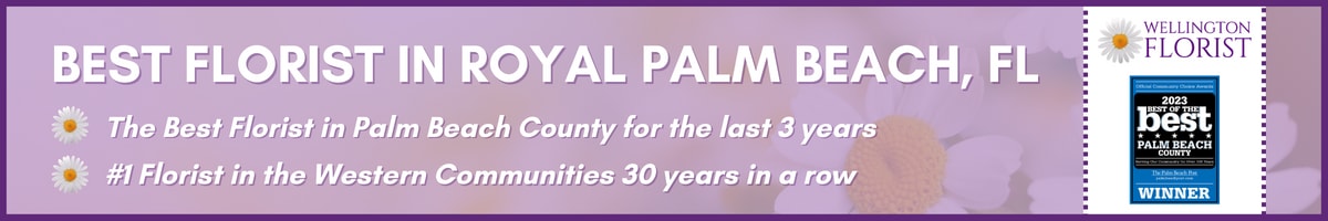 royal palm